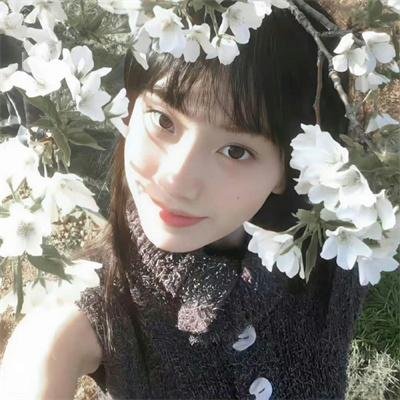 灵媒侦探城塚翡翠